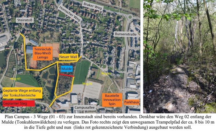 Gefahr für ein Tonkuhlenwäldchen in Lemgo