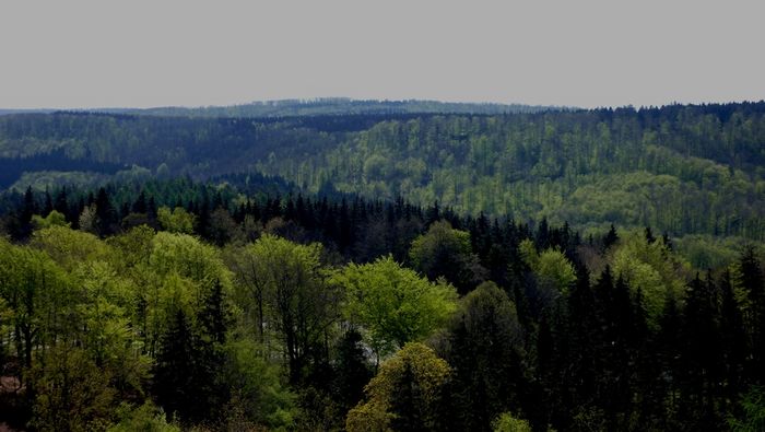 Blick vom Hermanns-Denkmal auf den Teutoburger Wald in Richtung Egge. Foto: A. Niemeyer-Lüllwitz 