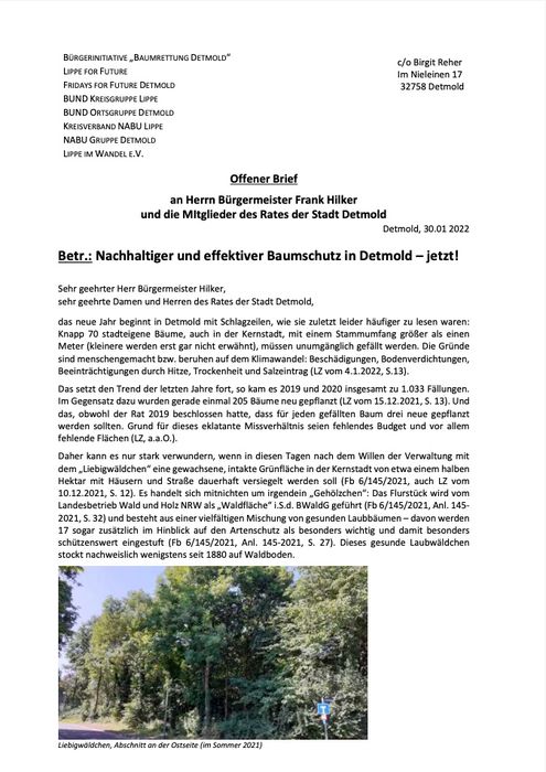 Nachhaltiger und effektiver Baumschutz in Detmold – jetzt!