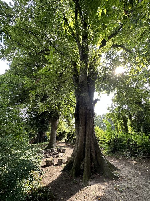 Im Garten der alten Eikenstrate in Ehrentrup