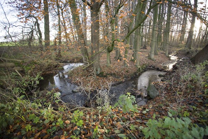 Kritik am Bewirtschaftungsplans 2022-2027 der Bezirksregierung Detmold zur Umsetzung der Wasserrahmenrichtlinie