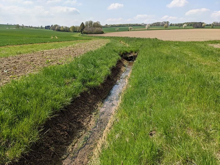 Mangelhafte Umsetzung der WRRL (Europäische Wasserrahmenrichtlinie) in Lippe am Beispiel des Istruper Baches