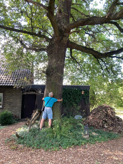 Lagenser Gärten - BUND und schön - Garten-Talk am 14.08.2022 bei Petra Kuhfus