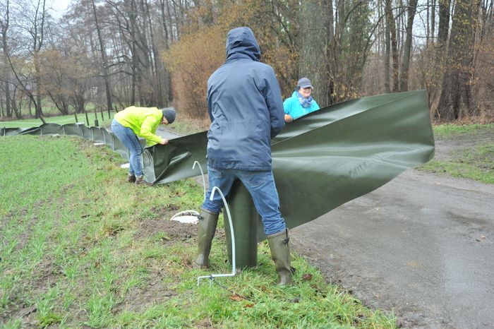 BUND-Mitglieder stellen bei böigem Wind den Krötenzaun auf.