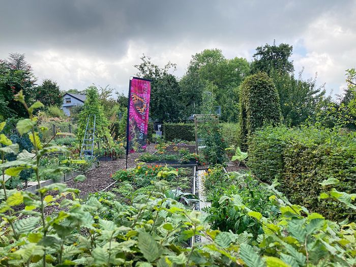 Lagenser Gärten - BUND und schön im Garten von Ingrid Klingen